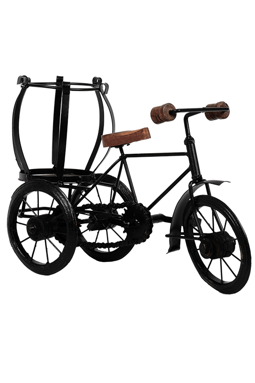 flower-vase-iron-miniature-rickshaw-1