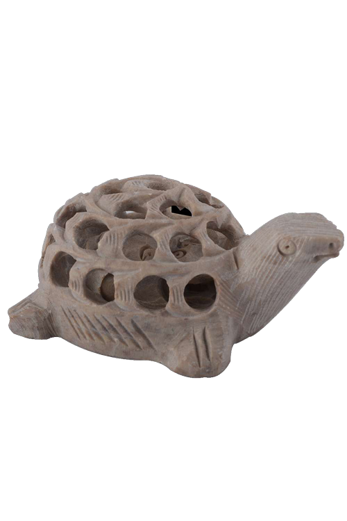 gorara-tortoise-2.5-inch-1