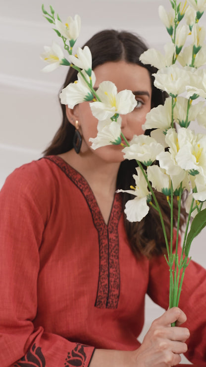 Mridu Rust A-line Kurta Set